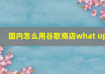 国内怎么用谷歌商店what up